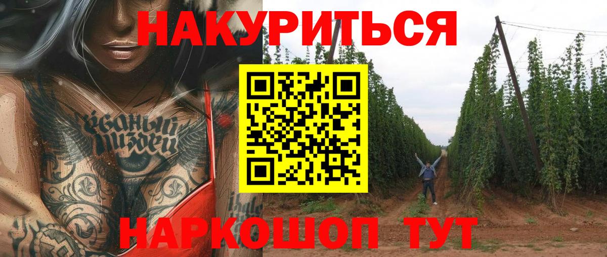 Бошки марихуана Bruce Banner  Вход с VPN  Бошки Шишки AK-47  Волгоград  Конопля AK-47 